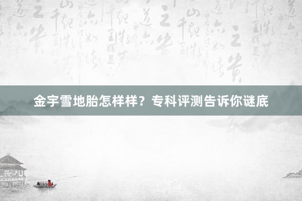 金宇雪地胎怎样样？专科评测告诉你谜底